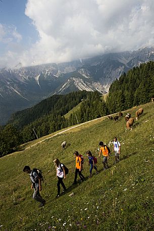 Trekking in Carnia